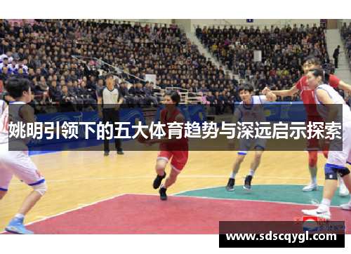 姚明引领下的五大体育趋势与深远启示探索