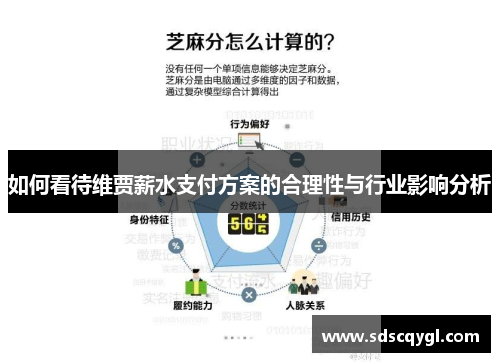 如何看待维贾薪水支付方案的合理性与行业影响分析