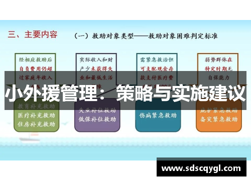 小外援管理：策略与实施建议