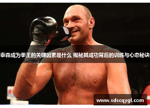 泰森成为拳王的关键因素是什么 揭秘其成功背后的训练与心态秘诀