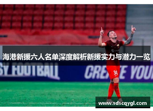海港新援六人名单深度解析新援实力与潜力一览