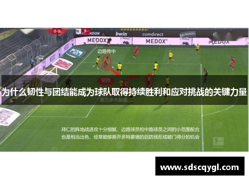 为什么韧性与团结能成为球队取得持续胜利和应对挑战的关键力量
