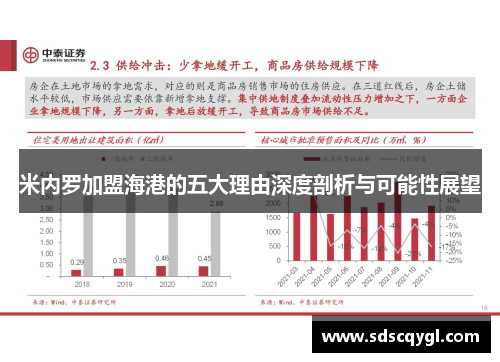 米内罗加盟海港的五大理由深度剖析与可能性展望