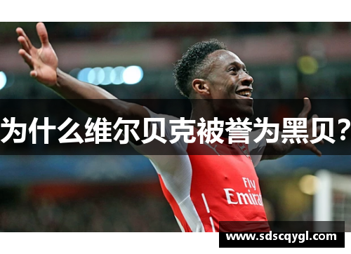 为什么维尔贝克被誉为黑贝？