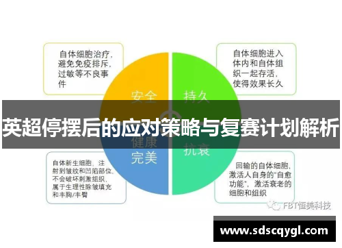 英超停摆后的应对策略与复赛计划解析